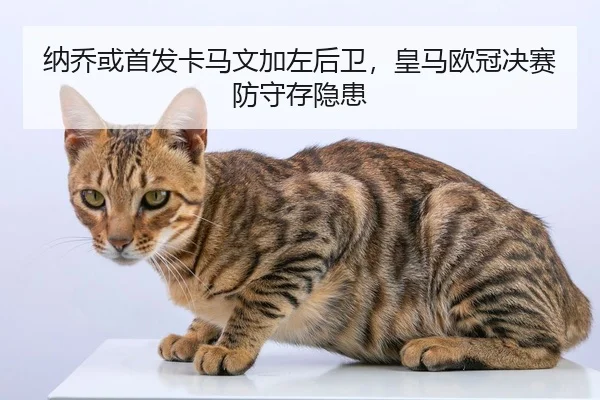 纳乔或首发卡马文加左后卫，皇马欧冠决赛防守存隐患