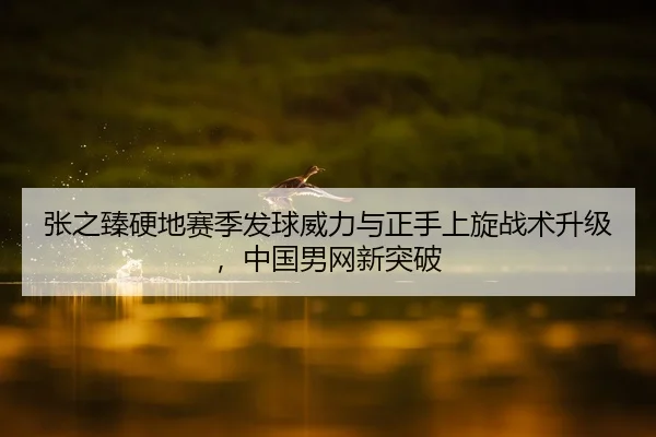张之臻硬地赛季发球威力与正手上旋战术升级，中国男网新突破